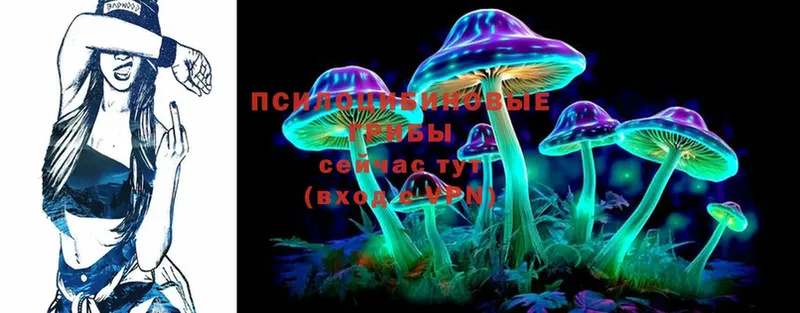 Псилоцибиновые грибы Psilocybine cubensis  купить наркотик  Алзамай 